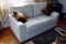 Petworth sofa